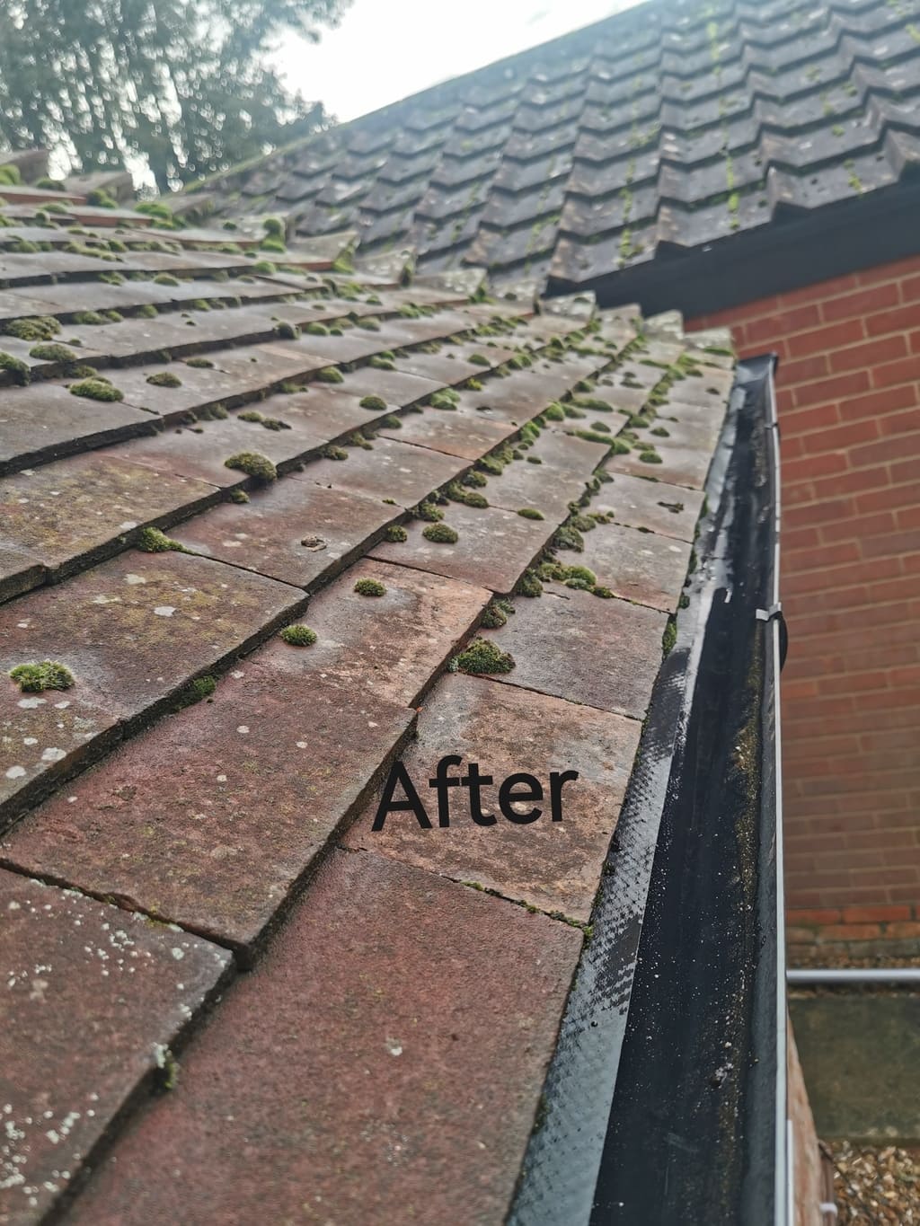 Gutter-Cleaning-Thame-With-Storm-Ciaran-Incoming 4