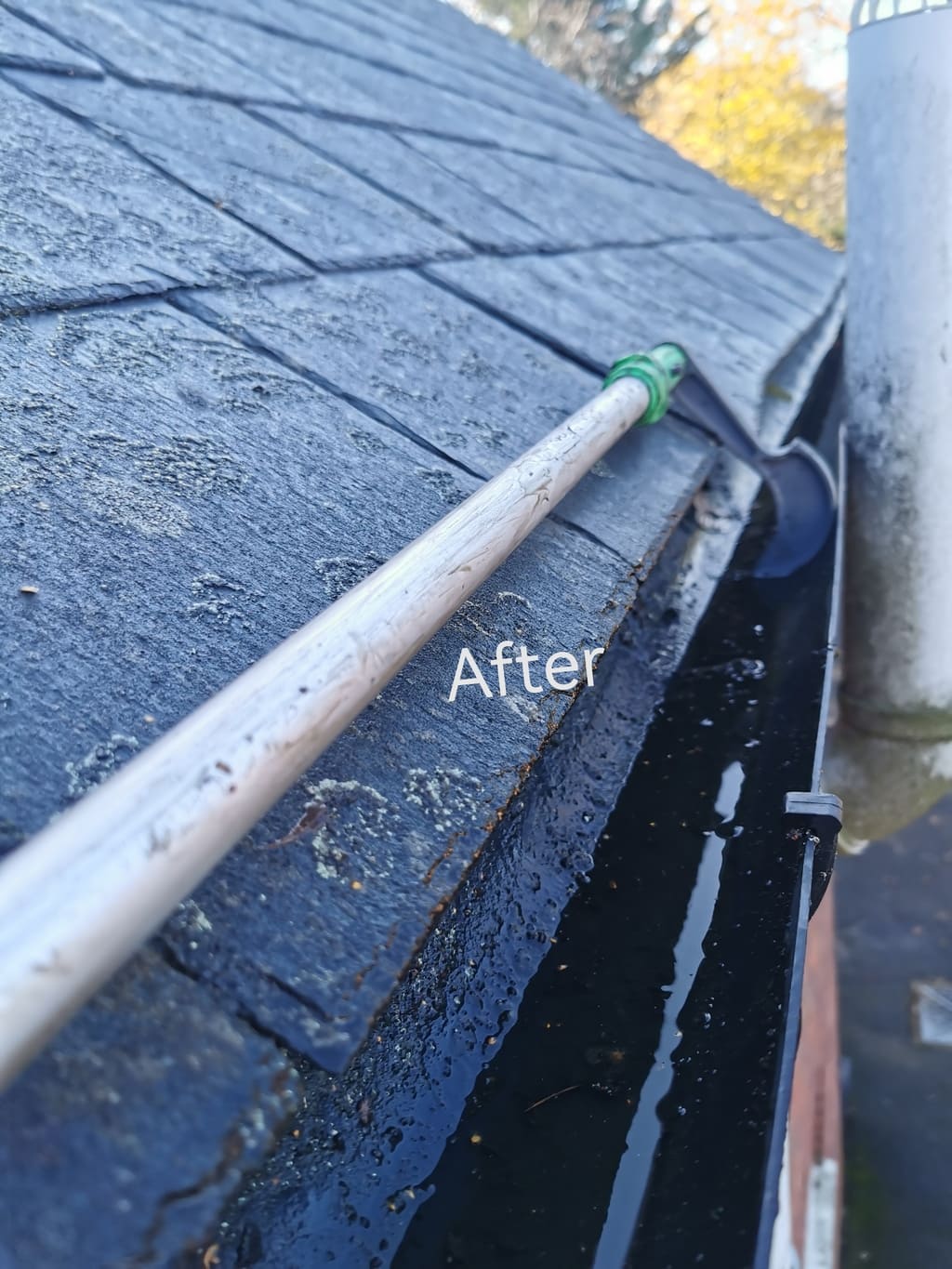 Super-efficient-Gutter-Cleaning-Thame 1
