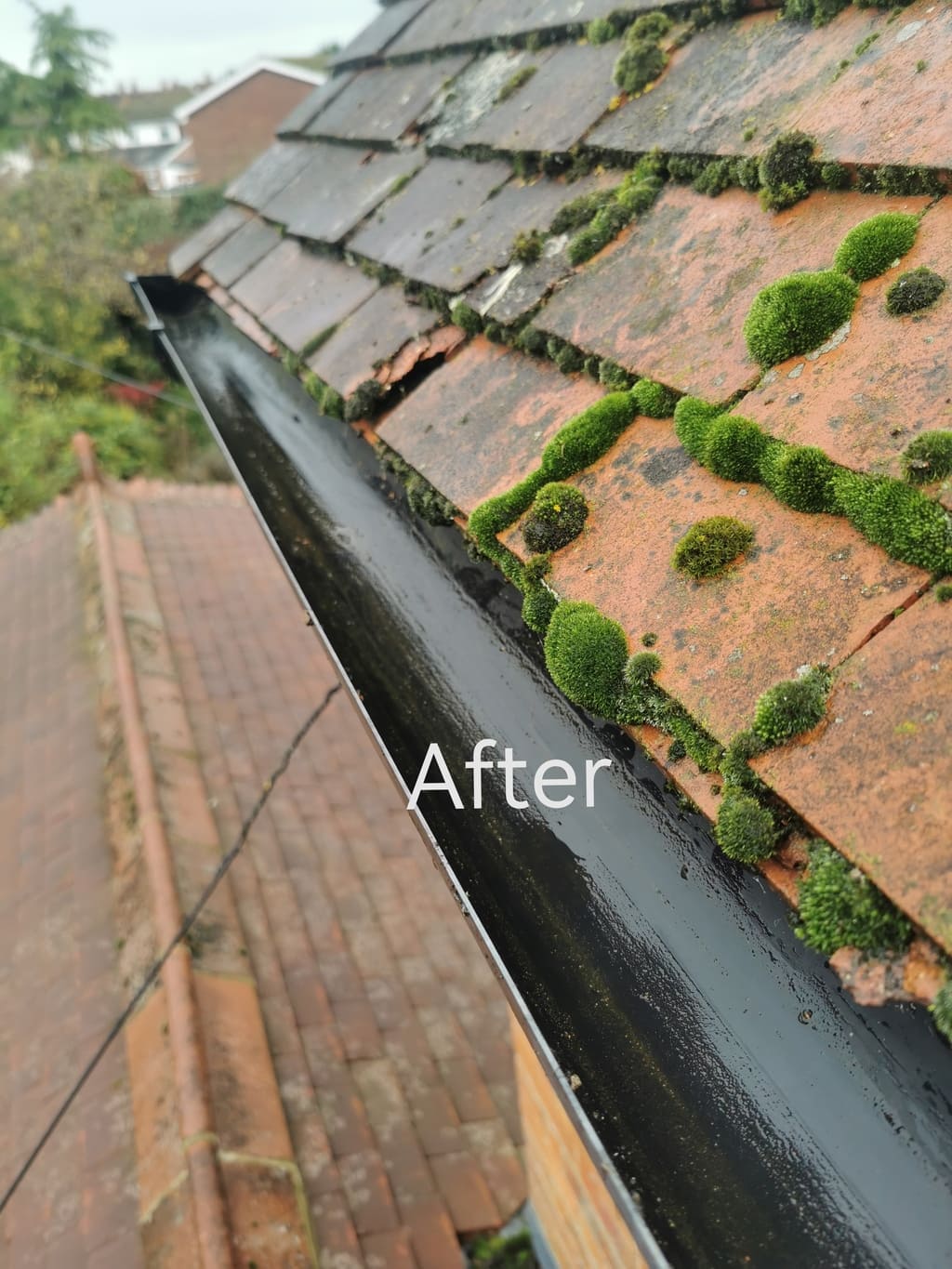 Gutter-Cleaning-Thame-With-Storm-Ciaran-Incoming 3