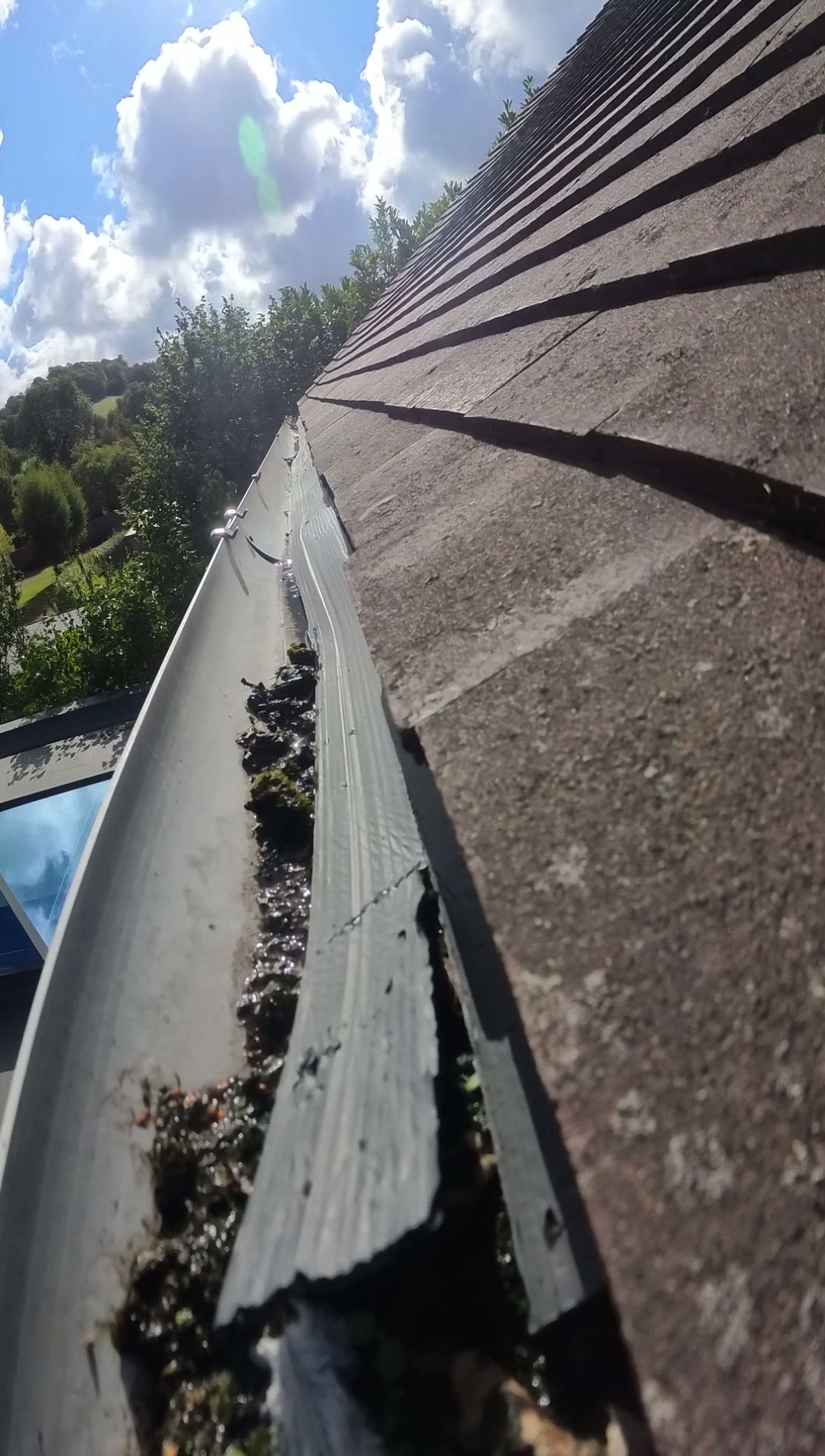 Moss and debris packed into the guttering above the rooflight, seen from the pole camera during the inspection