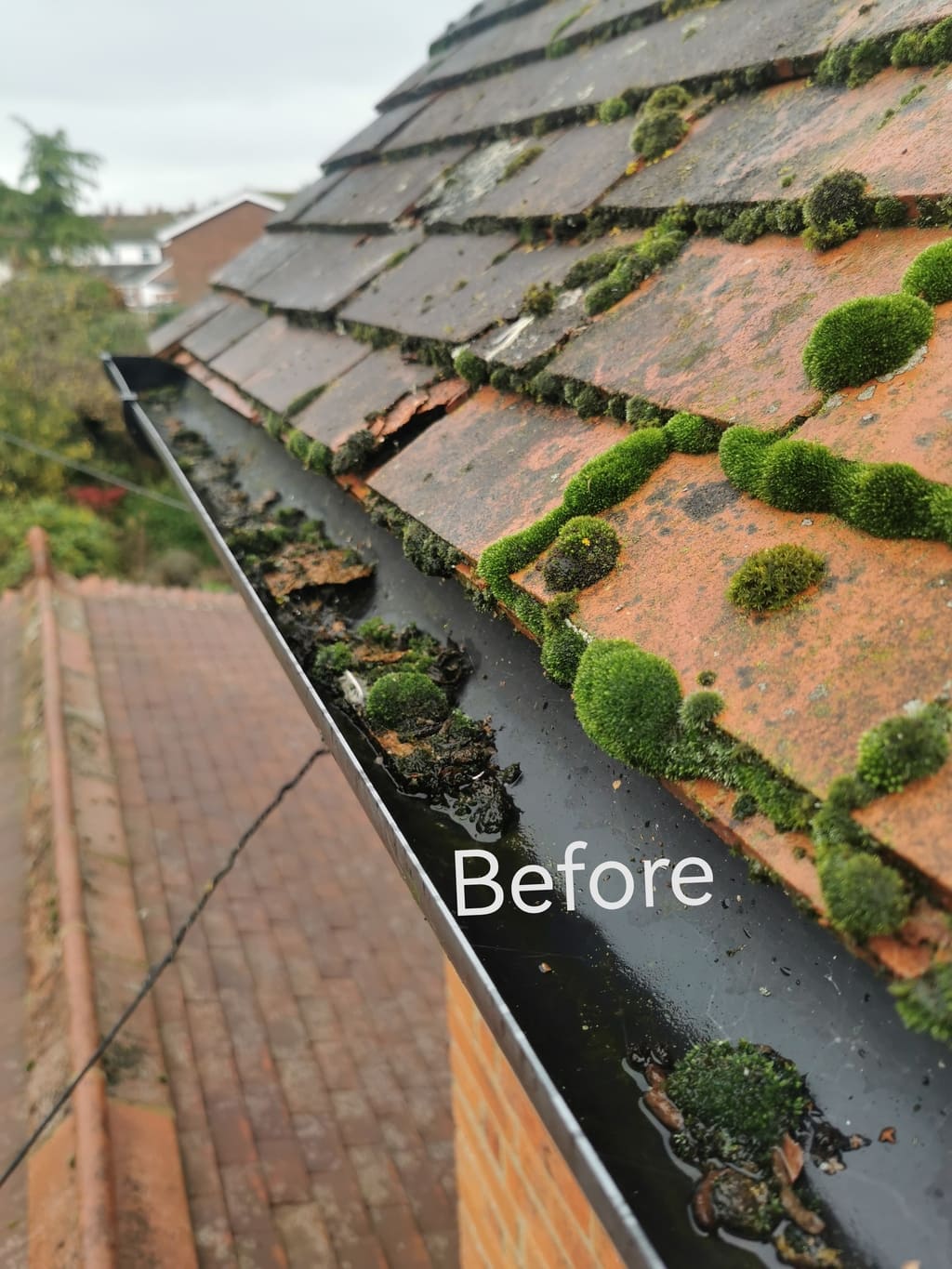 Gutter-Cleaning-Thame-With-Storm-Ciaran-Incoming 1