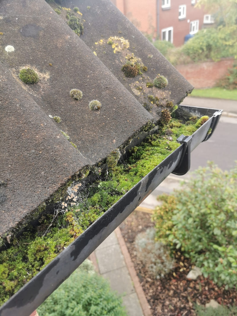 Clogged Gutter Cleaning In Thame With The Gutter Vac