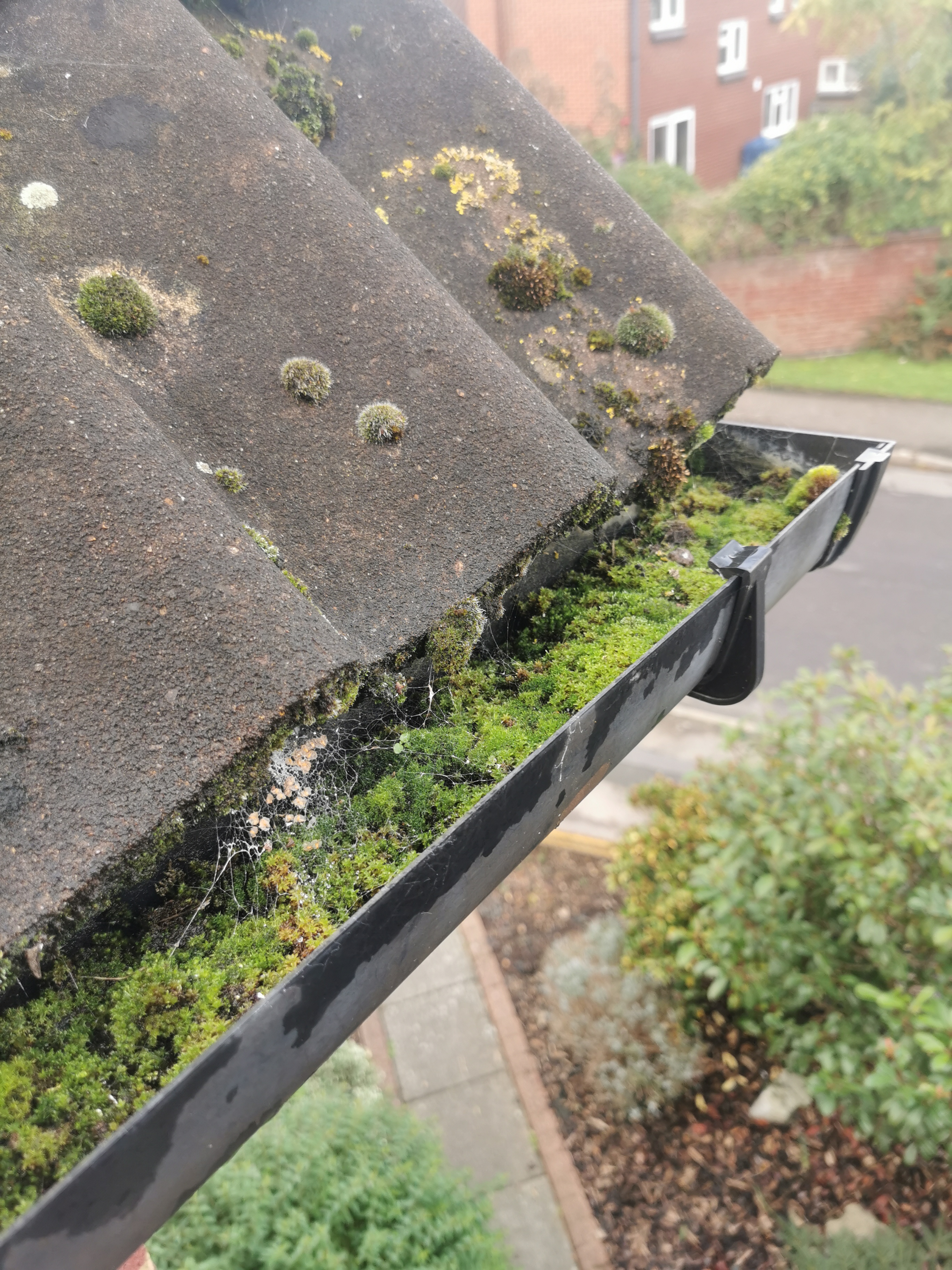 Clogged Gutter Cleaning In Thame With The Gutter Vac 